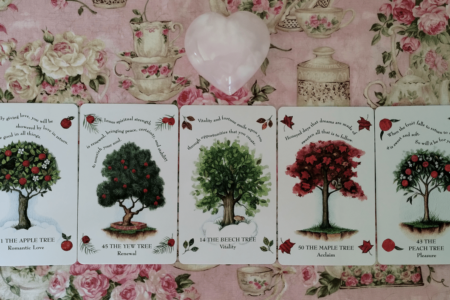 Yearly Insight - The Tree Magick Oracle Cards - Free Reading
